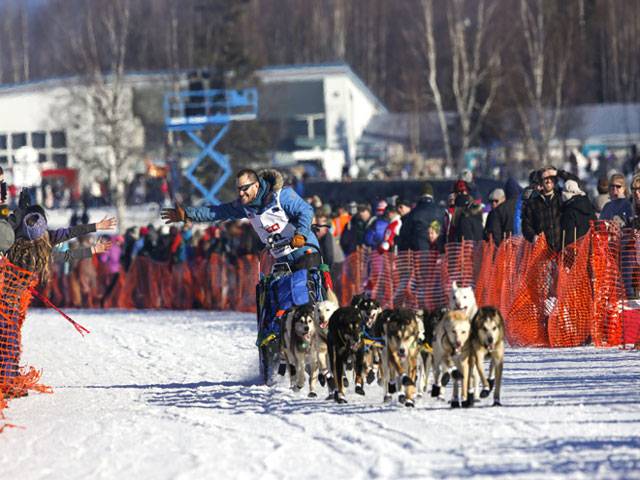 Iditarod Trail Sled Dog Race1