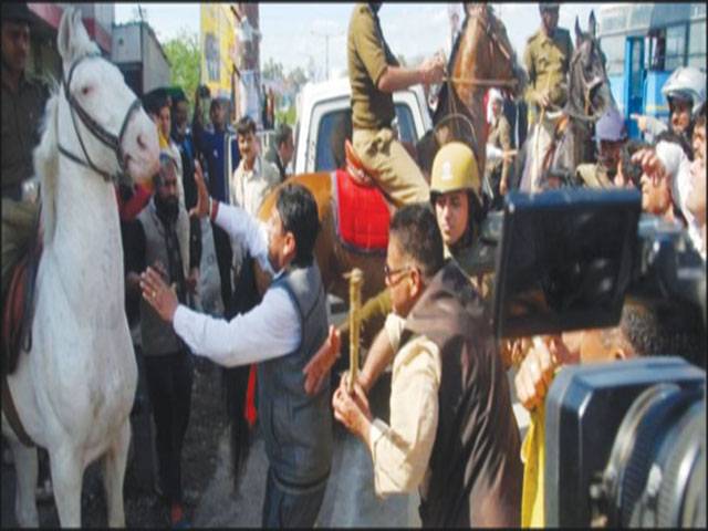 Indian politician arrested over horse attack 
