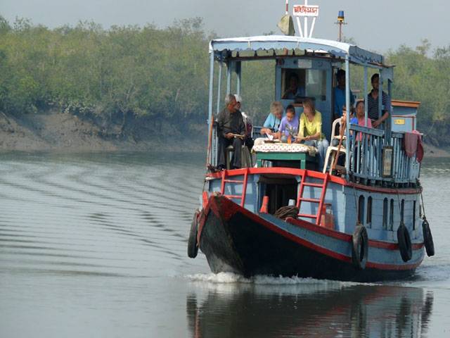 Bangladesh bans ships in rare dolphin sanctuaries