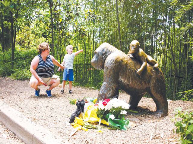 US zoo defends killing gorilla that grabbed boy