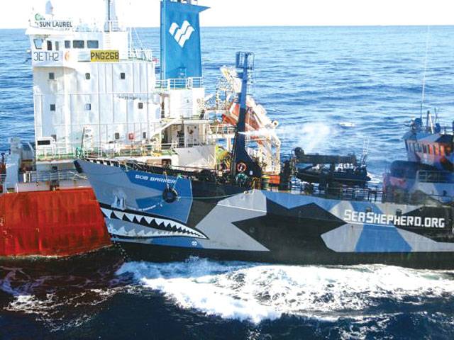 Anti-whalers enlist fast ship to fight off Japanese