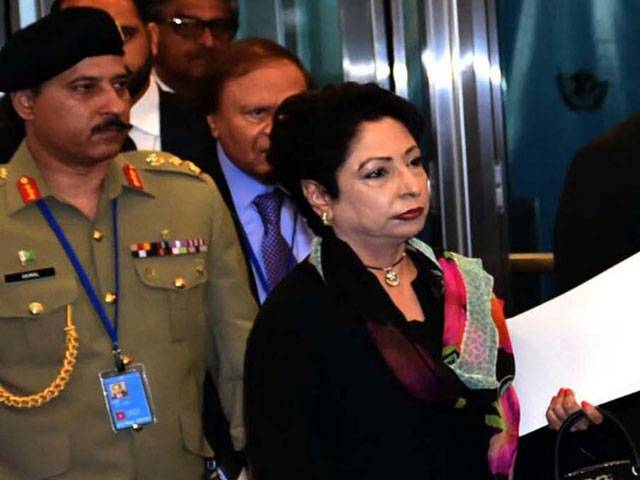 Pakistan won’t limit nuclear programme unilaterally: Envoy