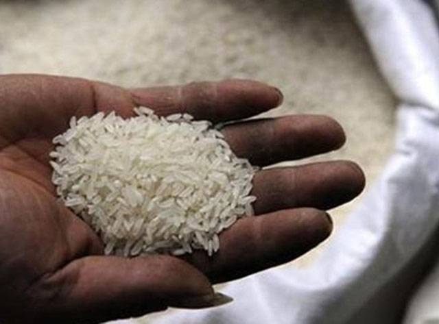 REAP looks to govt to revive rice exports