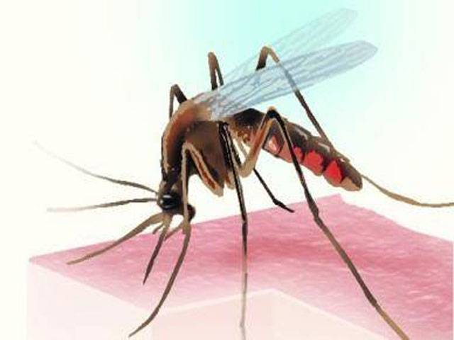 Cabinet committee meets on dengue