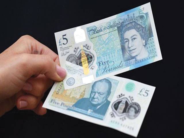 Vegetarian cafe refuses new £5 note