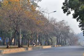 Scattered rain, snowfall forecast for upper Punjab