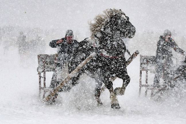 Participants of a horse-drawn sleigh race in Rinchnach