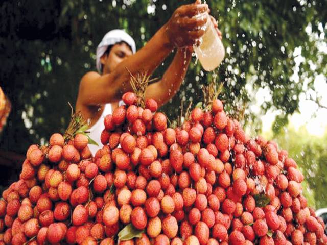 Indian children died after ‘eating lychees on empty stomach’ 