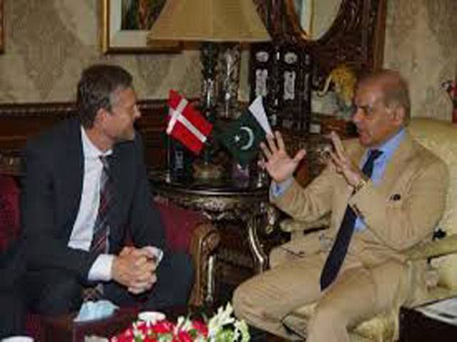 Denmark govt helping Punjab in energy projects 