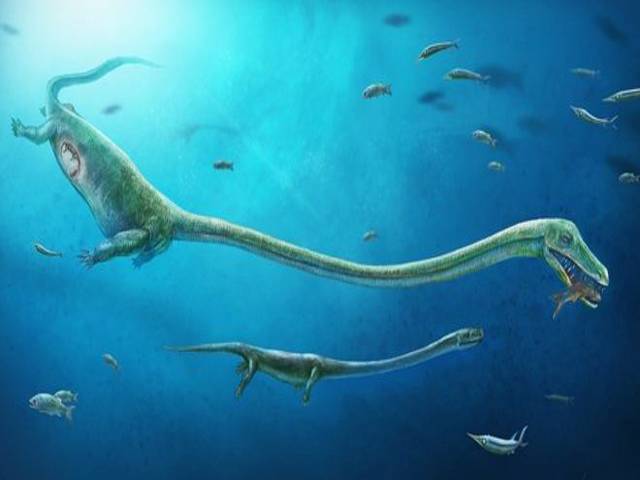 First live birth evidence in dinosaur relative