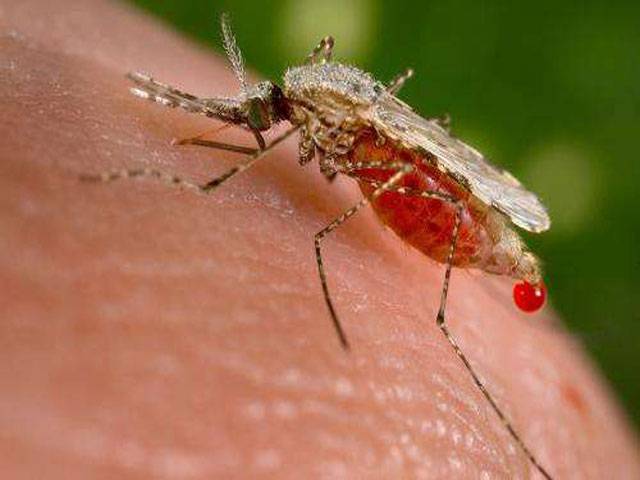 First drug-resistant malaria parasite detected in Africa