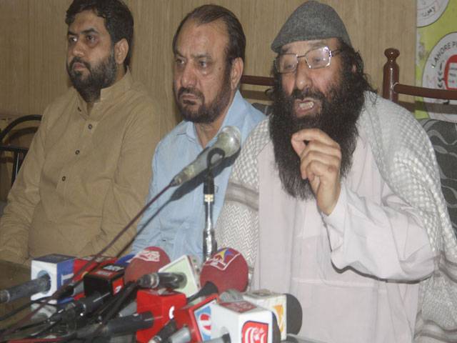 Govt must not nullify Kashmiris’ sacrifices, says Salahuddin