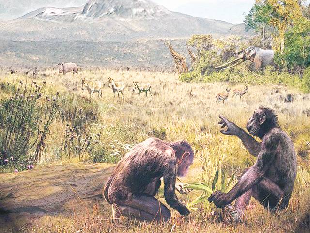 Humans split from apes in Europe, not Africa