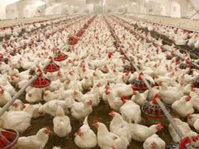 Budget supports poultry industry