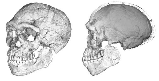 Homo sapiens 100,000 years older than thought