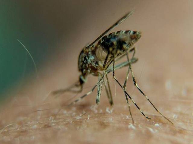 Warmer climate threatens malaria spread in Ethiopia 