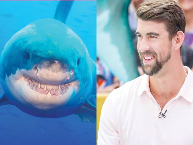 Michael Phelps loses ‘race’ to great white shark