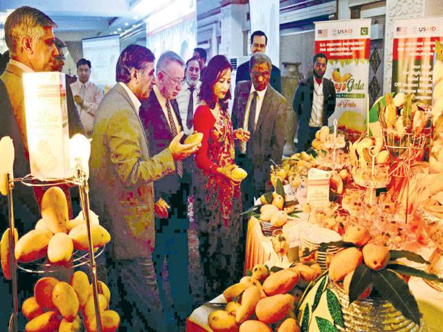 US supports Pakistani mango farmers’ access to new markets