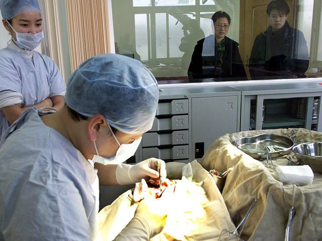 Woman undergoes plastic surgery to evade $3.7m debt