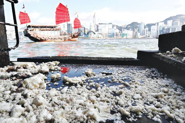 Beaches shut after palm oil spill in Hong Kong