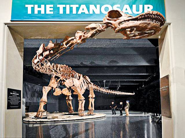 Biggest dinosaur weighed as much as a Boeing 737