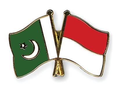  Pakistan,Indonesia opt for concession on 20 items