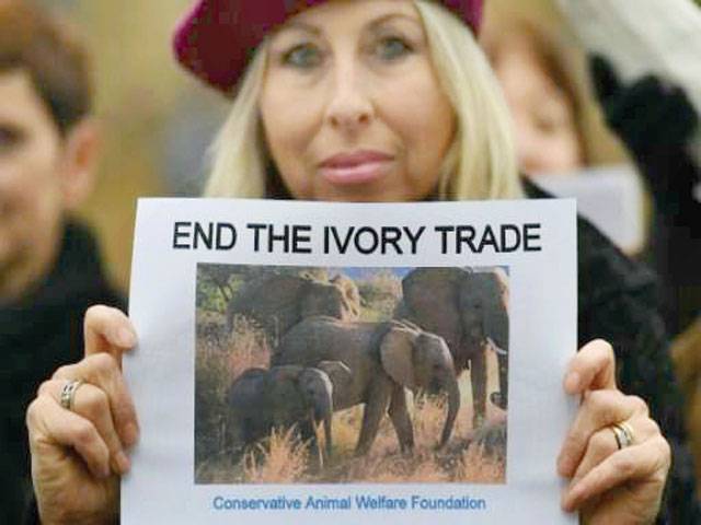 Britain plan to ban antique ivory trade