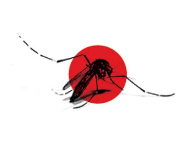 Met expert raises dengue alarm