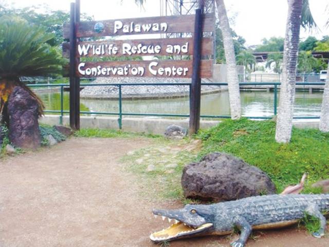 Crocodile snatches child on Philippine tourist island