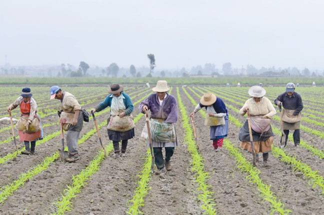 German court hears Peruvian farmer’s climate change appeal