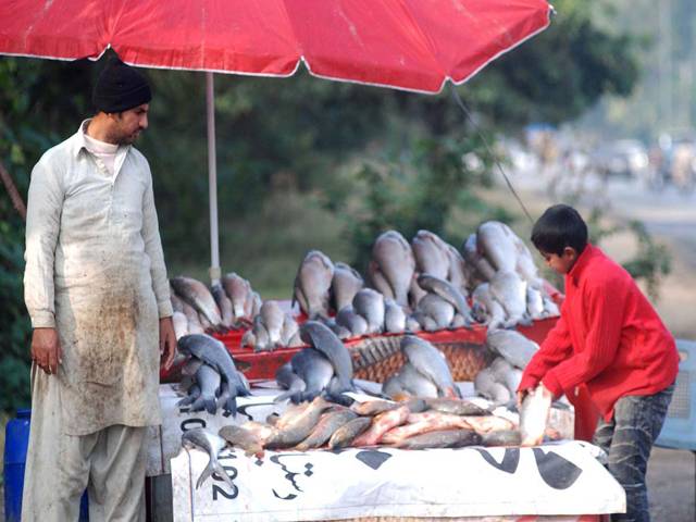 People purchasing fishes at a stall at Rawalpindi