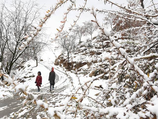  Kashmir snowfall1