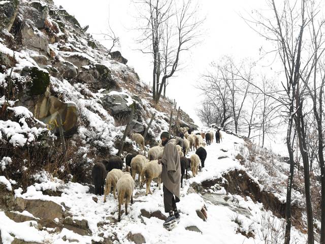  Kashmir snowfall1
