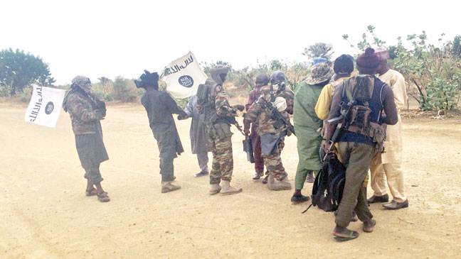 Over 30 loggers ‘abducted by Boko Haram’ in Nigeria