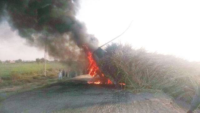 Fire destroys sugarcane-laden trailer