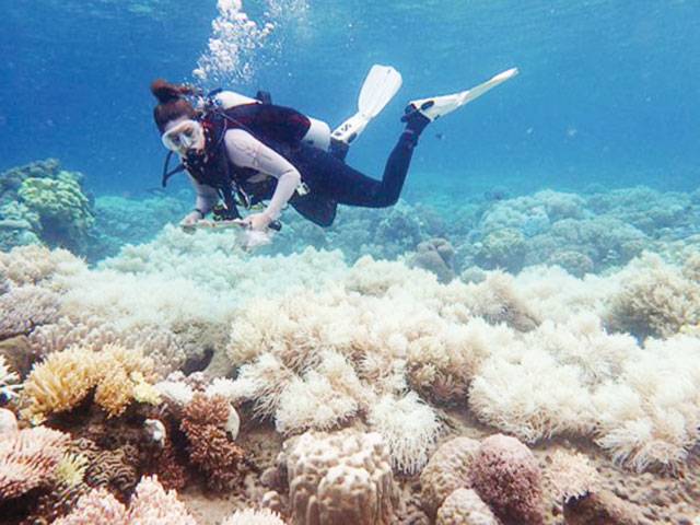 Australia unveils reef protection plan 