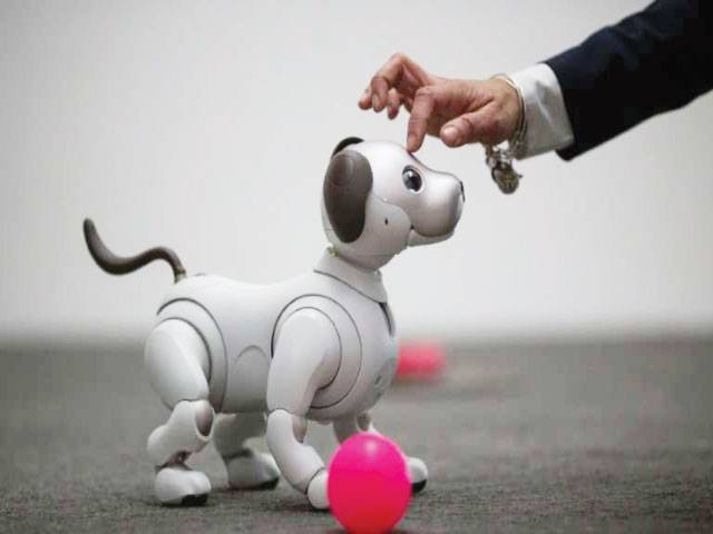 ‘Job-killing’ robots, AI under scrutiny in Davos