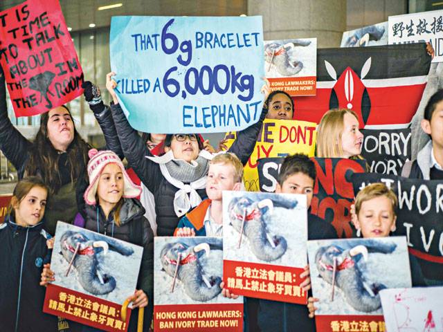 HK bans ivory sales in landmark vote