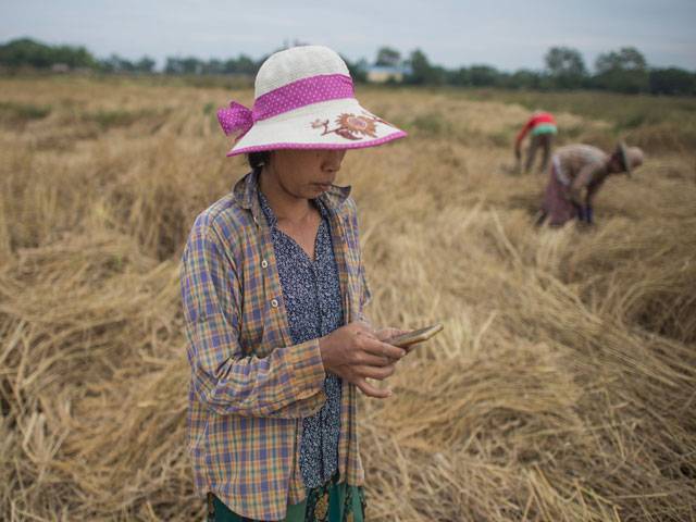 Myanmar farmers going against the grain with apps