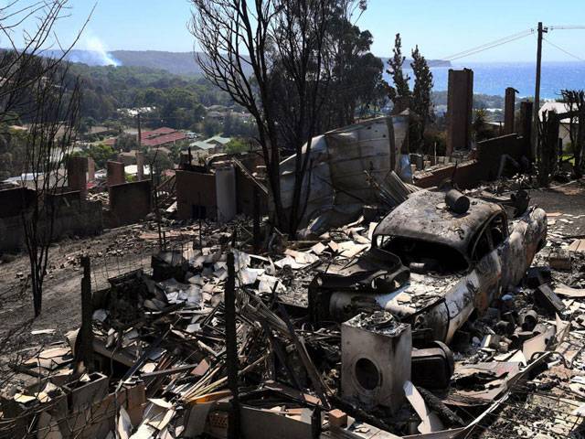 Australia bushfires destroy homes, kill cattle