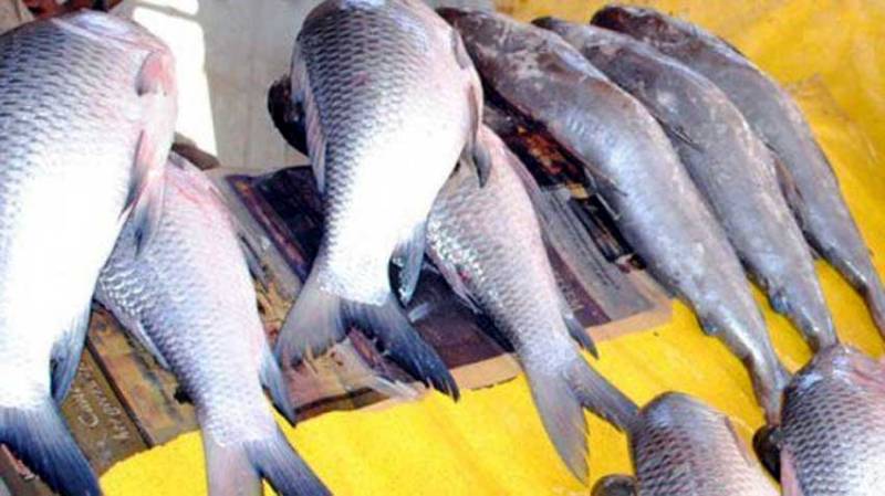 Seafood exports reach $264m in eight months