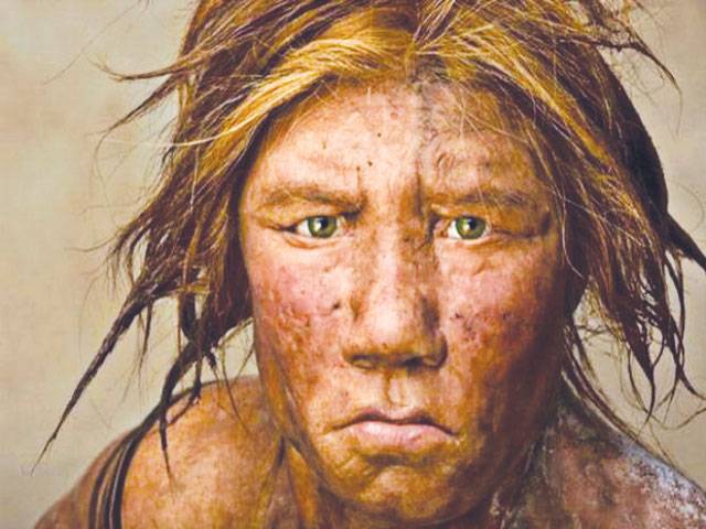 Neanderthal nose: All better to breathe with