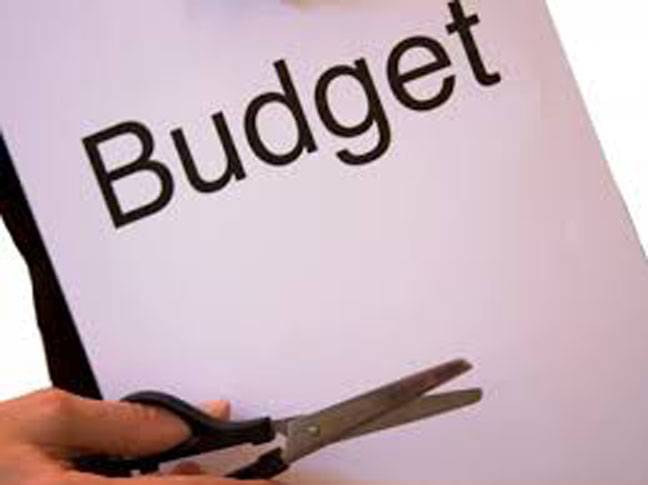 MPs ask govt to present 4-month budget only
