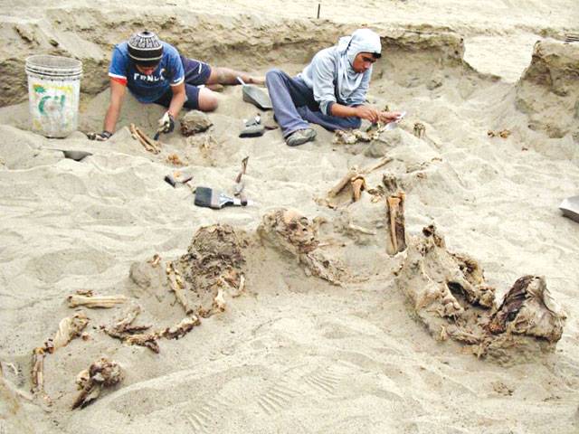 Evidence of world’s biggest child sacrifice found in Peru 
