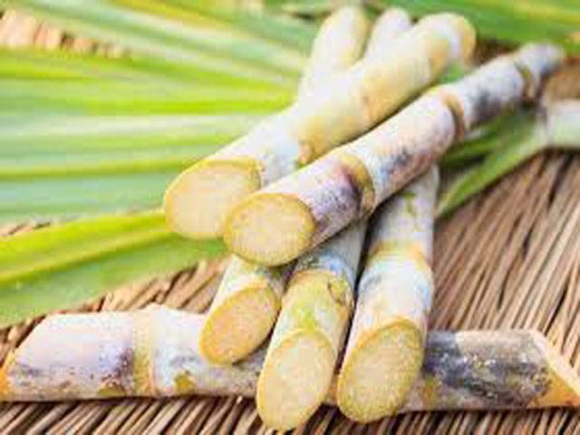 CCP asks govt to abolish sugarcane support price