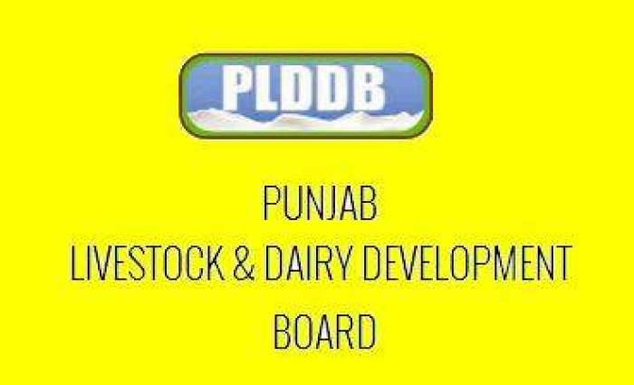 PLDDB launches pure milk at Rs75 per litre 
