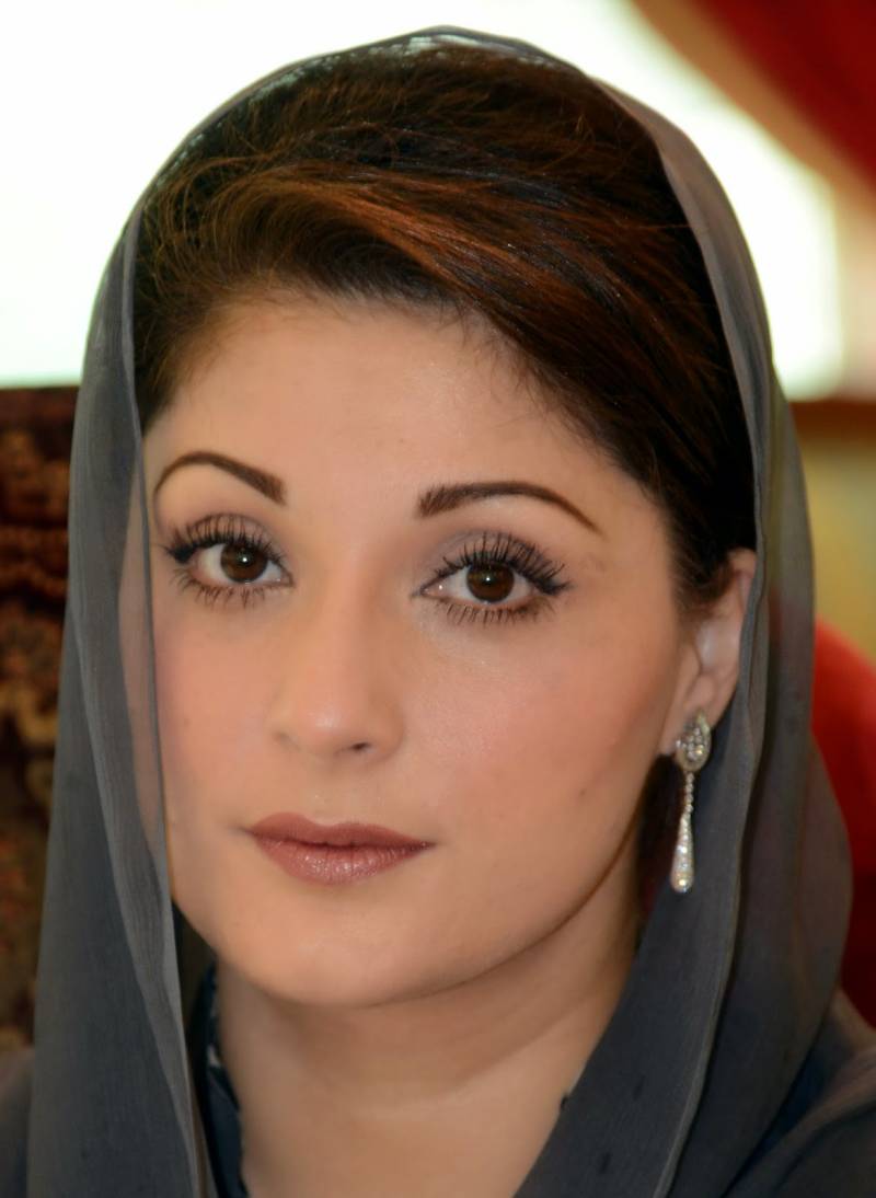 Being Nawaz daughter is ‘my only fault’ 