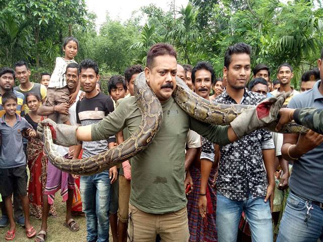Python selfie puts Indian forest ranger in tight spot 