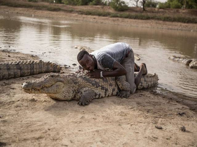 The village where crocodiles are welcome