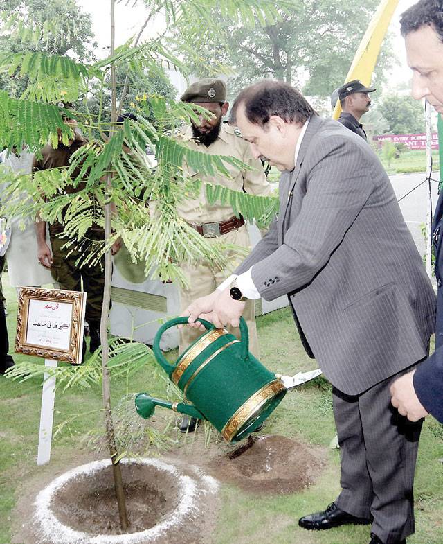 Tree plantation campaign: CS plants sapling at Civil Secretariat